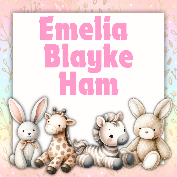 Emelia Blayke Ham- Proud Parents: William & Brook Ham