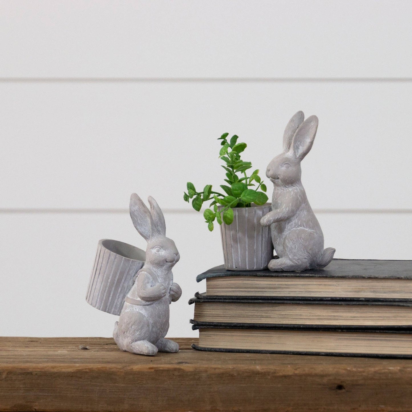 Rabbits With Baskets
