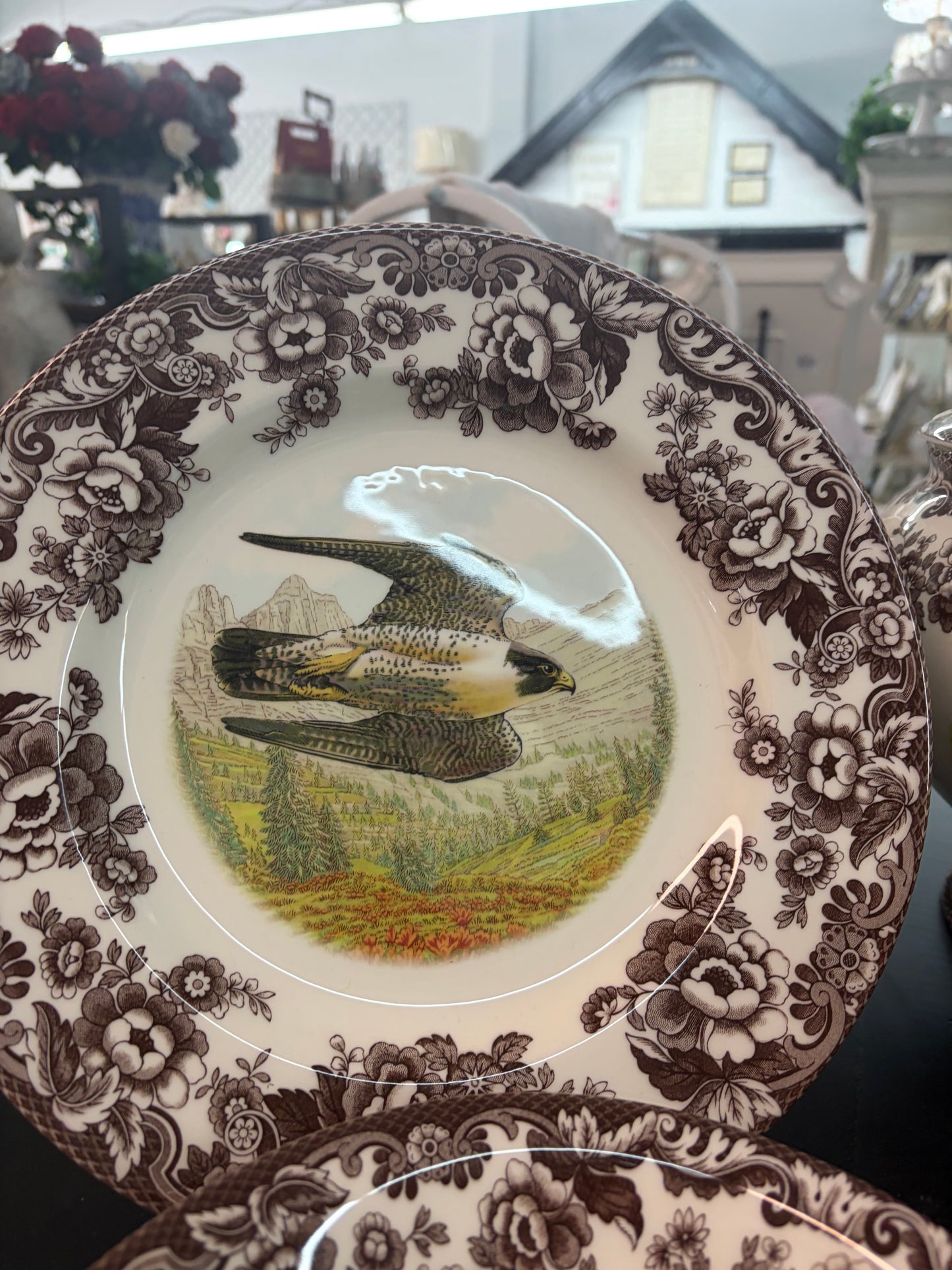 Spode woodlands/Delamere-Welborn-Anderson