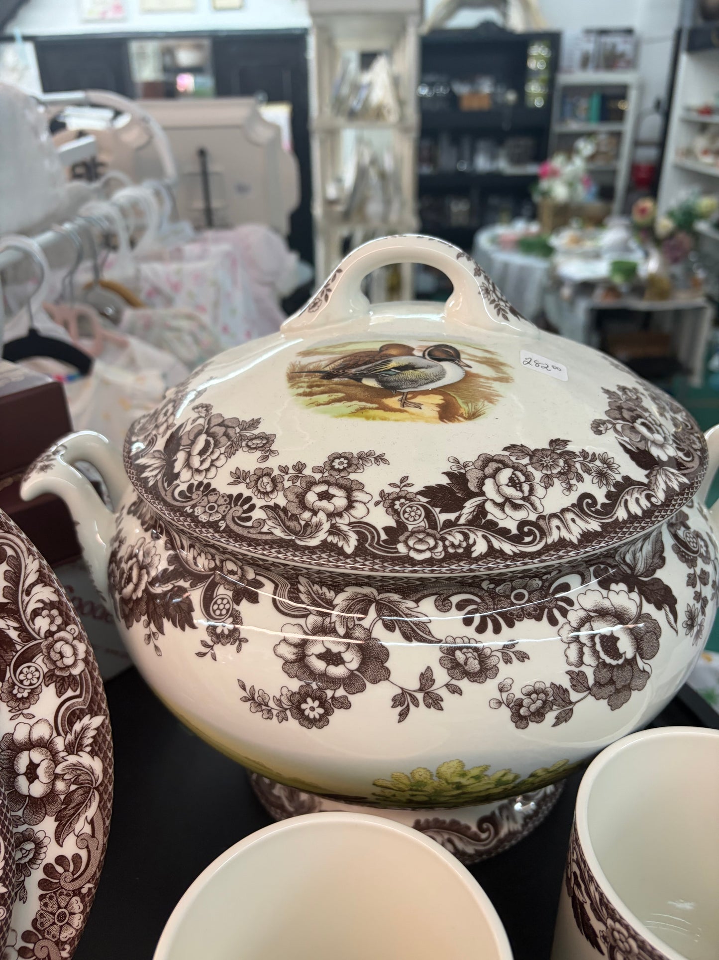Spode woodlands/Delamere-Welborn-Anderson
