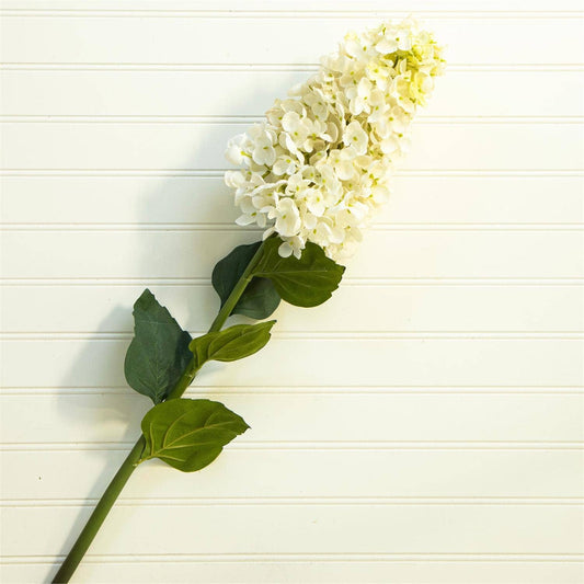 Pick - White Cone Hydrangea