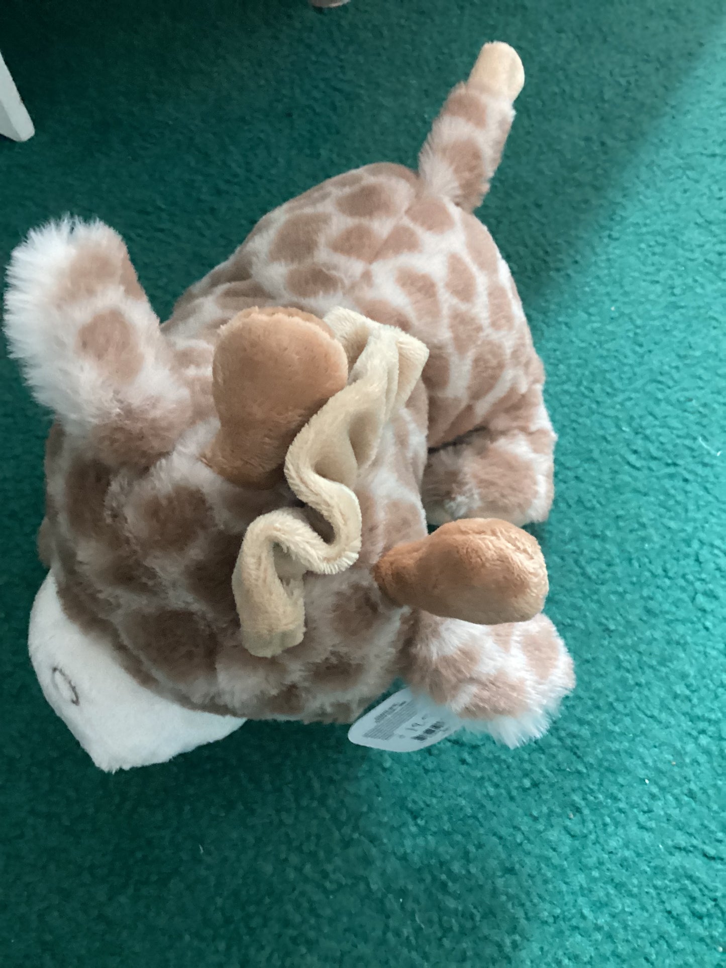Toys and books-Caine