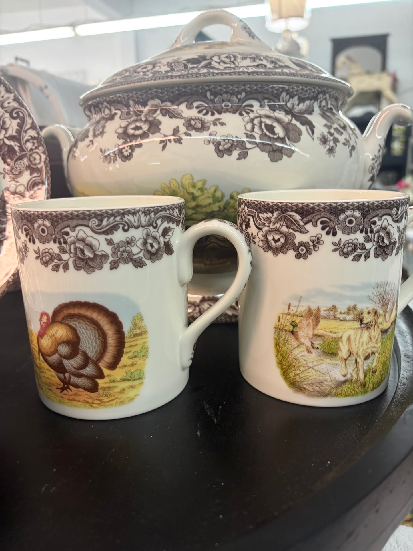 Spode woodlands/Delamere-Welborn-Anderson