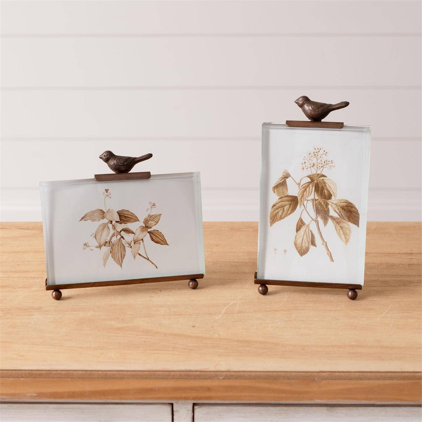Botanical Glass Bird Photo Frame-Vertical And Horizontal