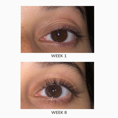 Lash Growth Serum