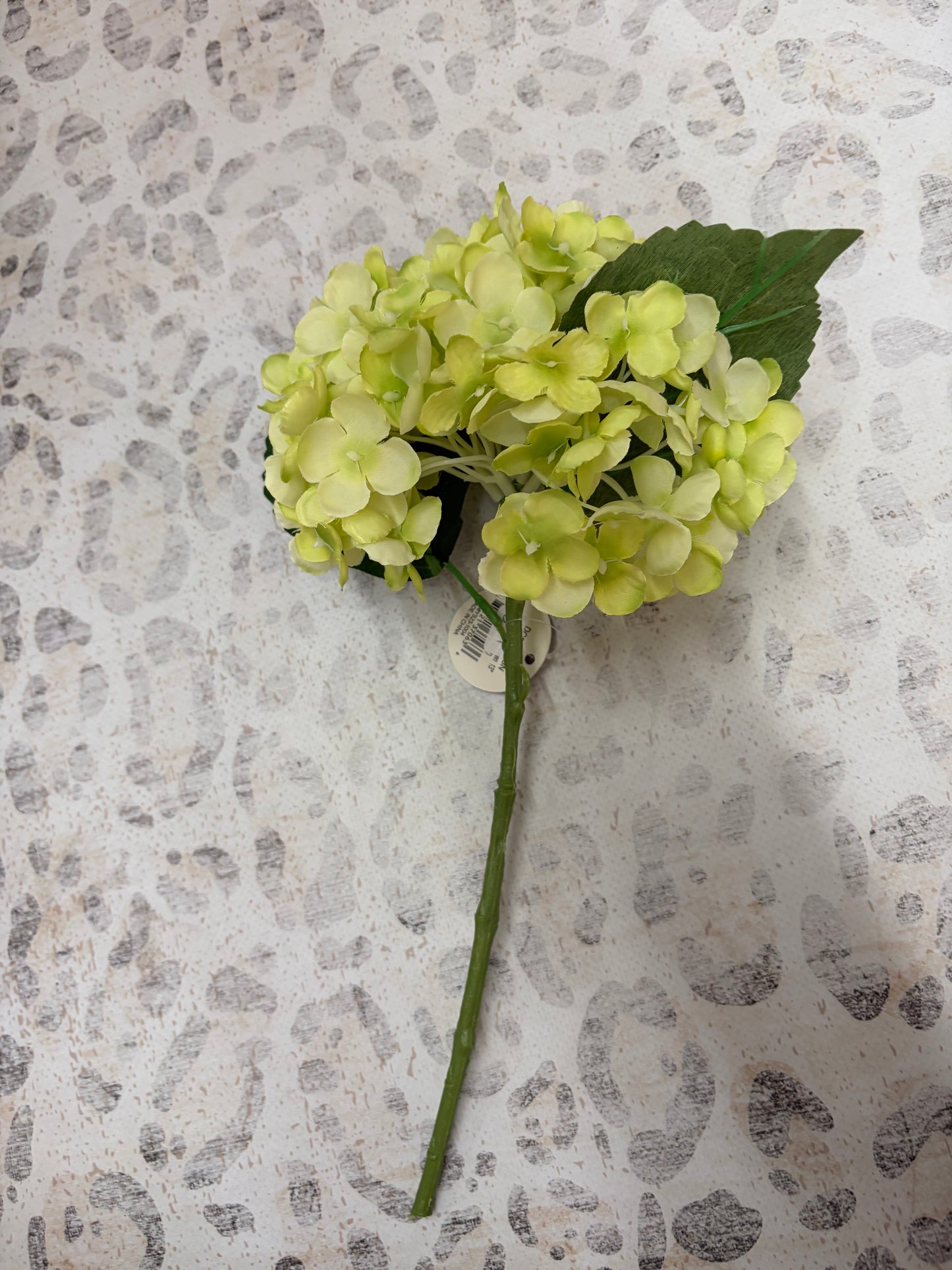 Home Decor -Leahay/Hattaway
