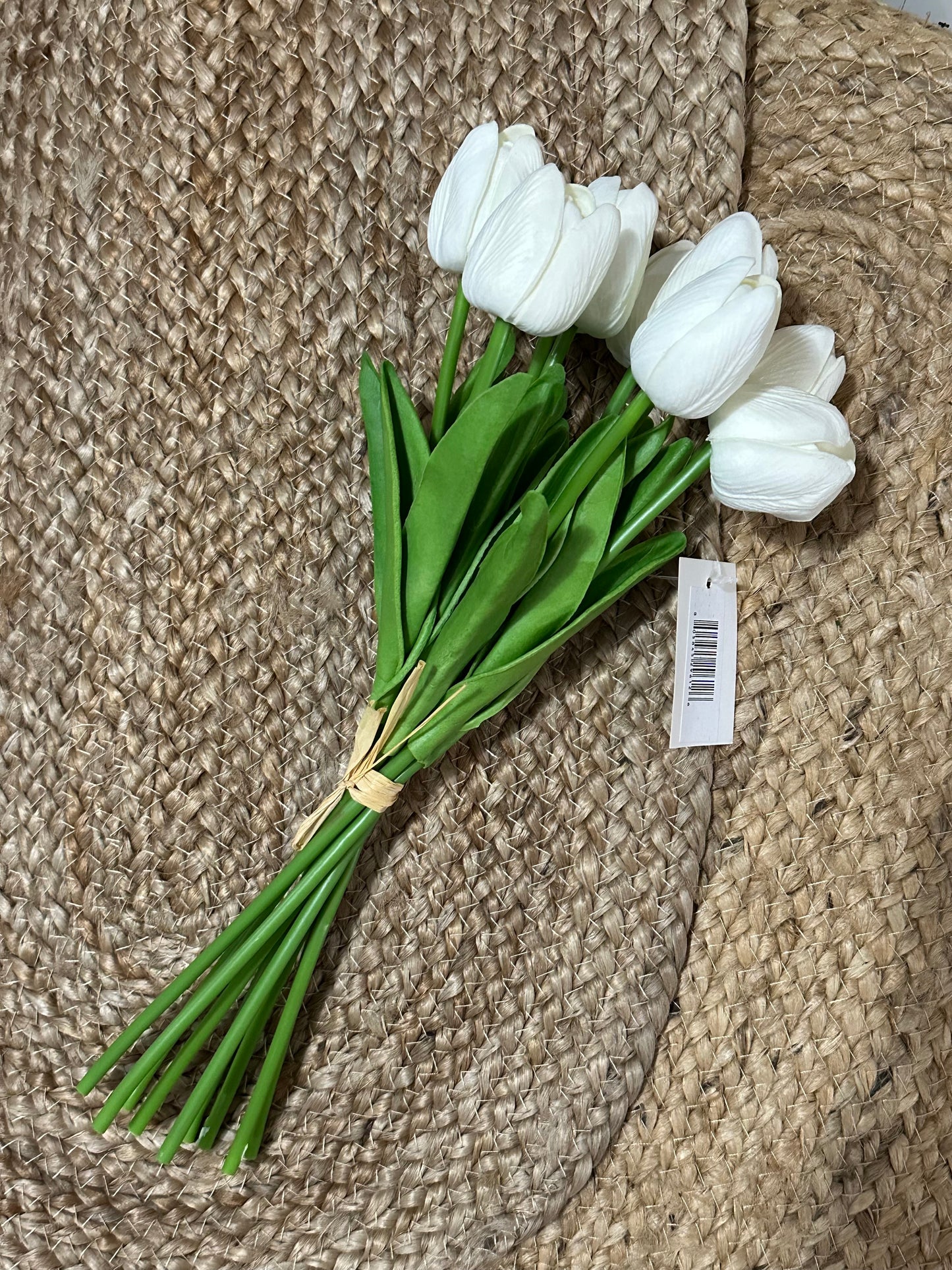 Holiday Items -Holsenback/Aaron