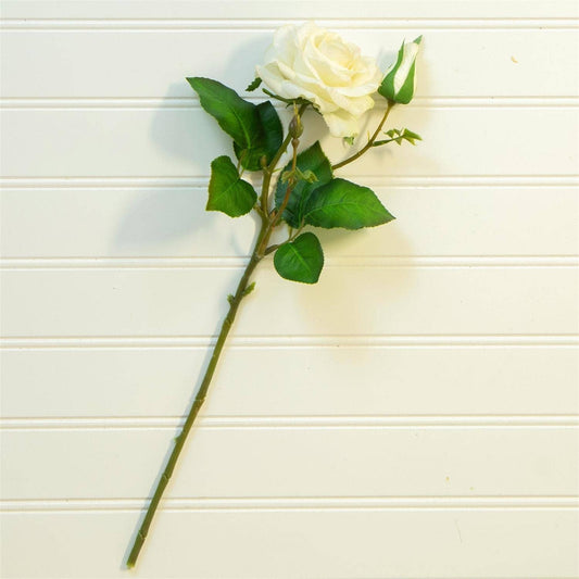 Pick - Real Feel Garden Rose, White (PK/12)