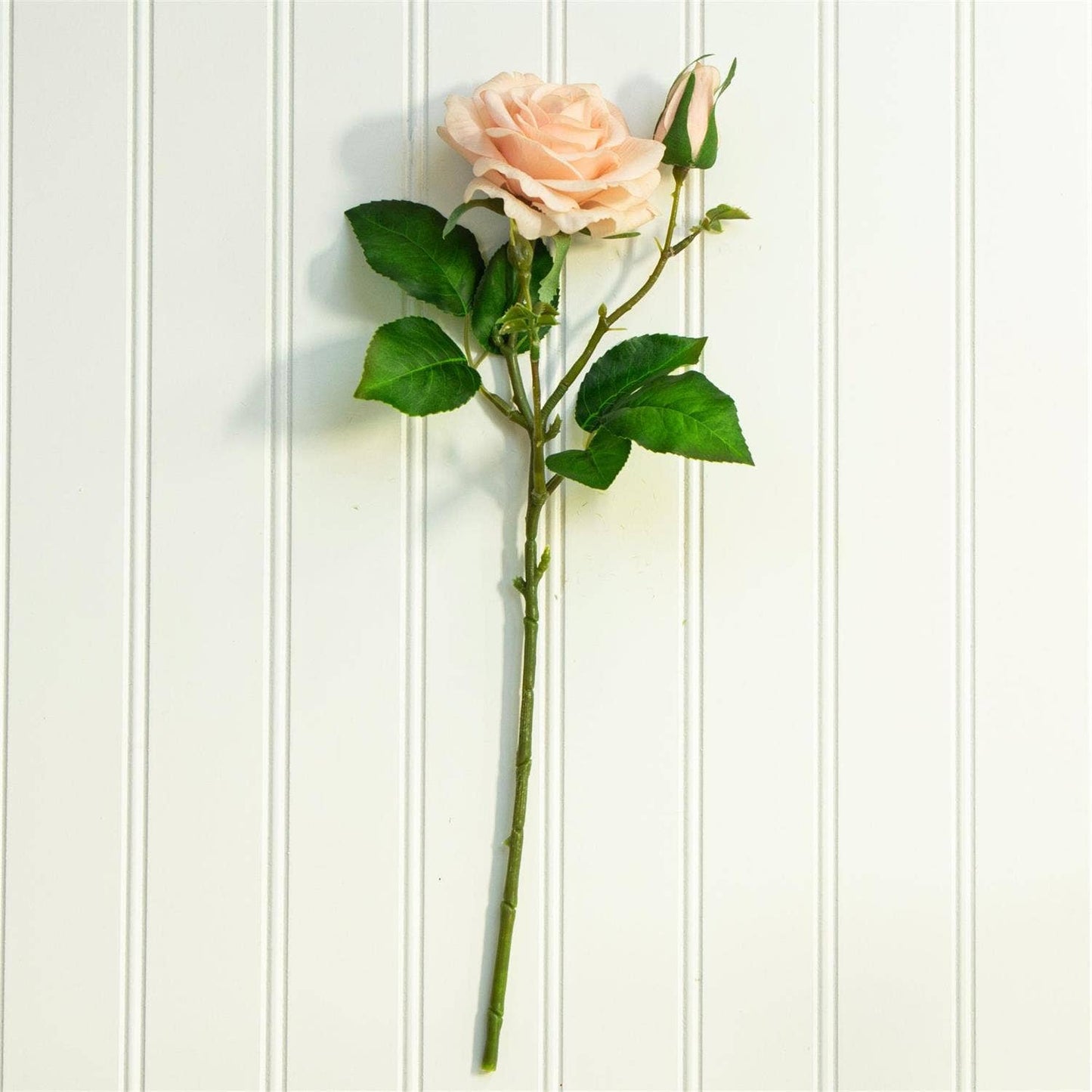 Pick - Real Feel Garden Rose, Light Pink